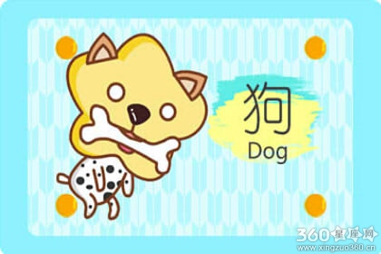 属蛇和属狗的合不合 在一起合适吗