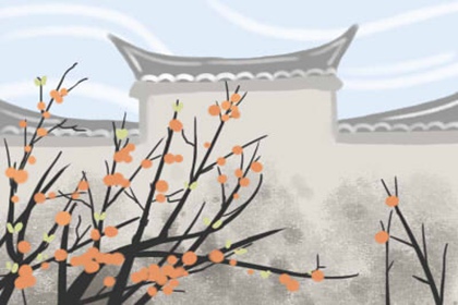 家里种玫瑰花好吗风水 玫瑰花放家哪里风水好