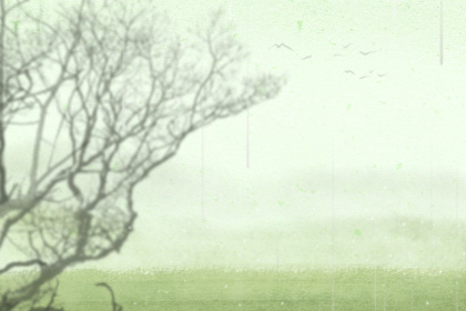 谷雨出生的人命怎么样 命运好不好