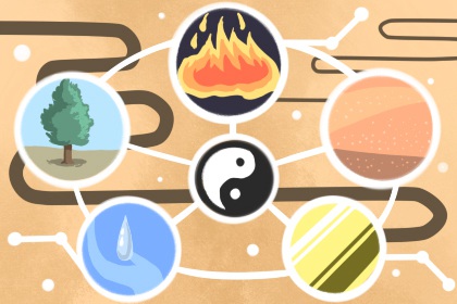 天干地支对应身体器官及对疾病的判断