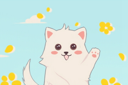 梦到把猫杀了什么预兆 寓意好不好