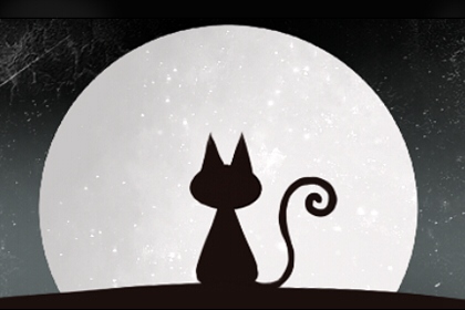 女人做梦梦见猫生小猫预示着什么 好不好