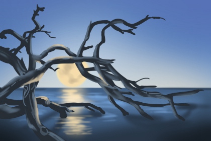 最吸引女人的网名 网游名字