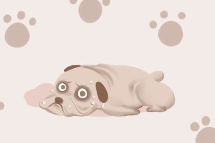 梦见养狗是什么意思 有什么征兆