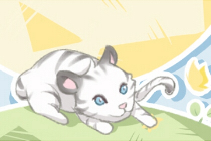 梦到猫抓老鼠有什么预兆 寓意好不好