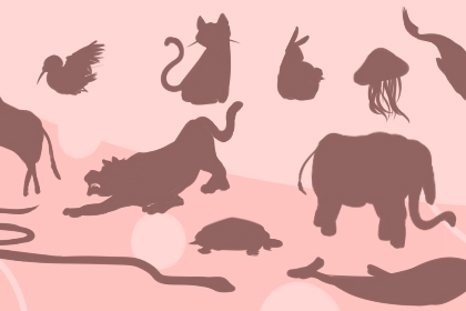 梦见刺猬是什么意思 意味着什么