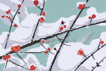 2020年冬至节气吃什么最好 吃饺子