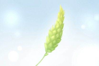 2021年春节期间白羊座的人桃花运会大旺吗