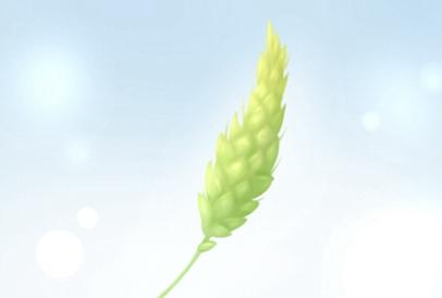 2021年属猴运气最好的生肖 运势怎么样