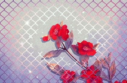 无春之年结婚有什么讲究 2021年是无春年么