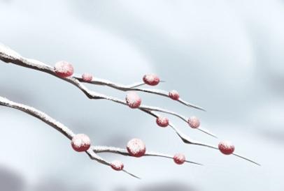 2021年正月初八是几九 今天日子好不好