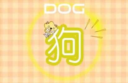2021年生肖狗的幸运色是什么颜色