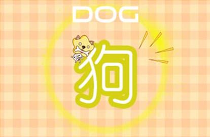 属狗最佳婚配表 上等婚配是什么