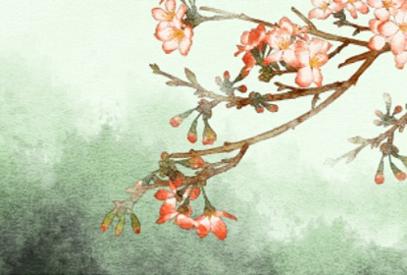 八种植物招财又旺宅 养什么植物风水好