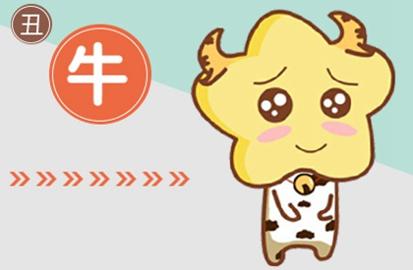 本命年的大忌属牛可以穿红色吗