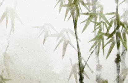 今日宜忌查询 2021年8月11日冲什么