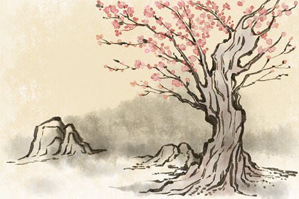 娱乐餐饮管理公司名称大全 取名的方法