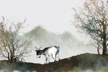 属羊人最倒霉的几年 怎么化解这些霉运