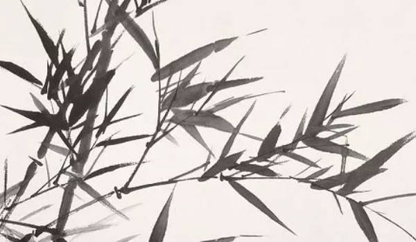 手机号码尾数是4吉利吗 手机号最旺财的尾数