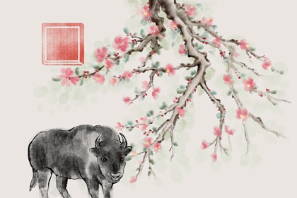 1961年生肖牛2021年下半年运势 饮食习惯要注意