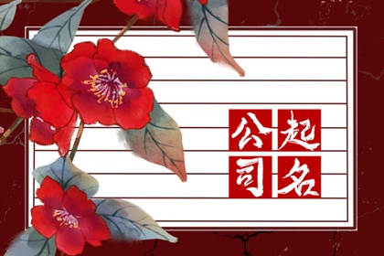 好记有内涵的新型保温材料有限公司名字