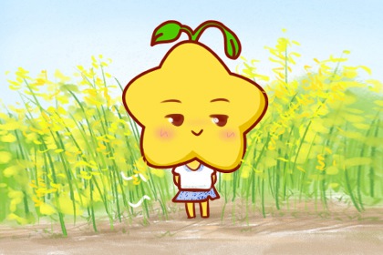 双子座的婚姻最终归宿 成熟沉稳的摩羯座