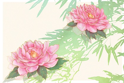 皮草服装公司怎么起名 卖皮草的公司名字大气的