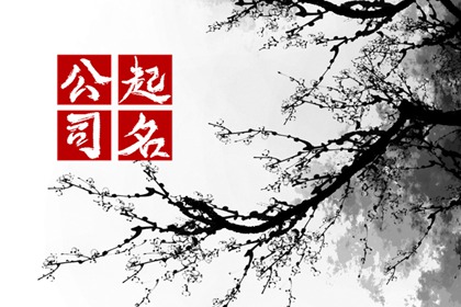 勘察设计公司三个字名字 有气势的公司名字