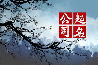 想开公司起名字 新潮洋气的公司名字