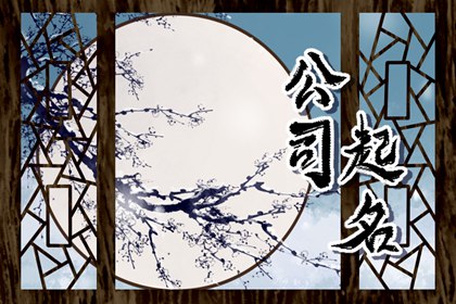 给家政公司起个名字大全 顺口好记的公司名字