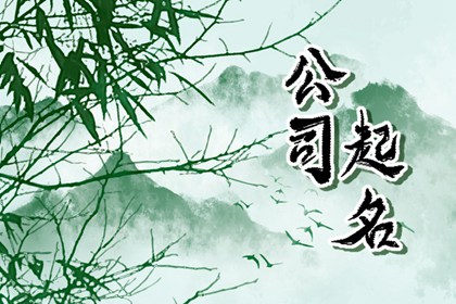 休闲娱乐服务公司免费取名字 时尚大方的公司名字