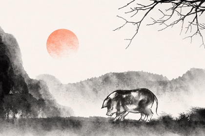 83年属猪39岁有一灾吗 事业惨淡机遇少