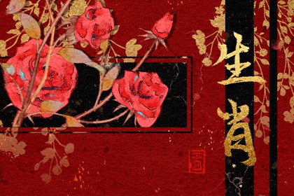 属猪女与十二生肖的婚配 属猪女与哪个属相在一起最好