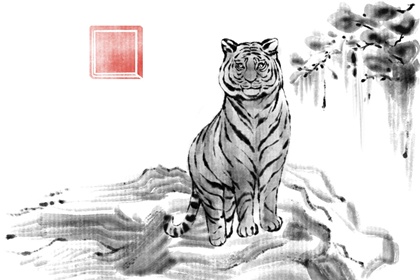 属虎三合和三冲属相 和属马人配合默契