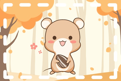 84年的鼠在2022年的运势如何 婚姻生活出现危机