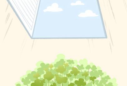 室内风水布局八个位置分别在哪里 怎么布置最旺