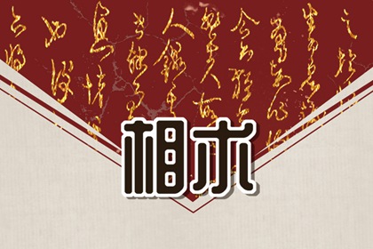 牙大好还是牙小好面相学 将来运势如何