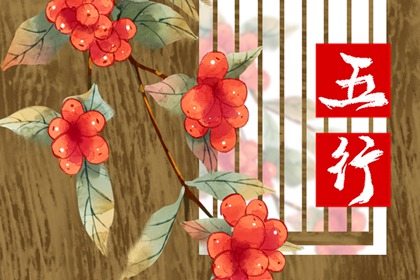 亥时出生的男孩五行缺什么 命运怎么样