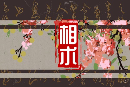 一般做大老板的人长相 颜貌温和平易近人