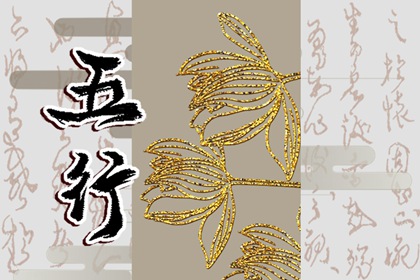 属牛卯时出生五行缺什么 性格坚毅百折不挠