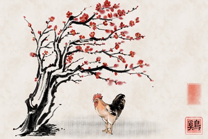 属鸡的出生年份 2022虎年生肖鸡几岁了