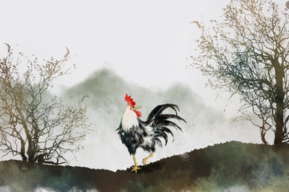 属鸡的永久幸运颜色 2022属鸡戴什么吉利