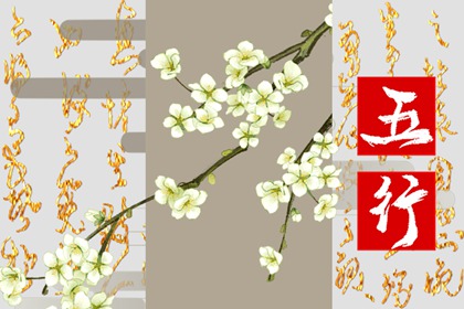 五行缺木的人怎么补木 有什么忌讳吗