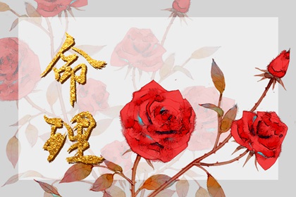 2021年腊月十四属什么生肖 性格聪慧可爱