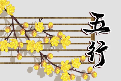 卯时出生的孩子五行缺什么 命运详解大全