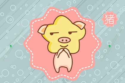 男属猪和女属兔合财吗 在一起旺不旺财