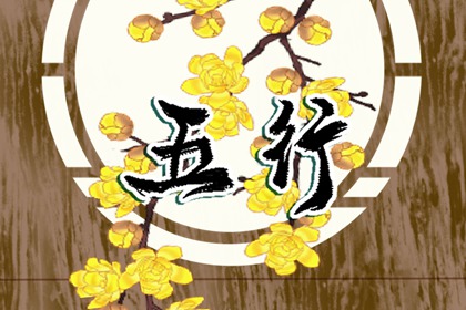 亥时出生的五行缺什么 未来命运如何