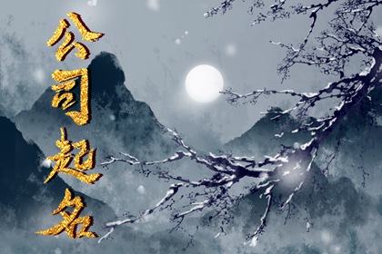 2022年能源化工公司起名 好听有内涵的公司名字