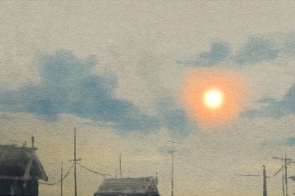 95属猪的婚姻和命运 姻缘什么时候到