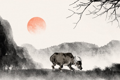 属牛女的性格特点 详解属牛女的性格